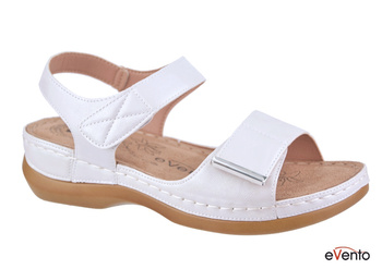 20SD98-0146-SILVER