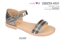 22DZ35-4531-SILVER